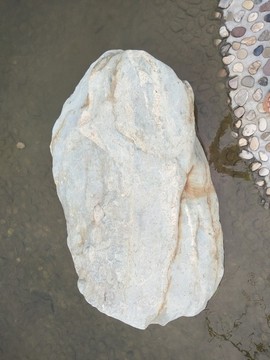 肌理