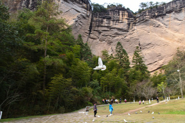 武夷山風(fēng)景區(qū)