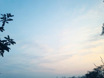 藍(lán)天