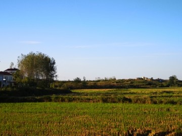 農(nóng)田上的日出