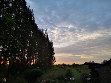 農(nóng)田上的日出
