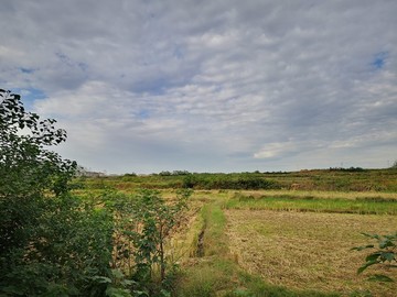 農(nóng)田上的日出