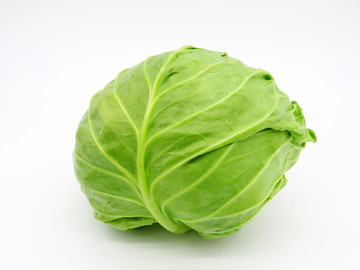 圓白菜