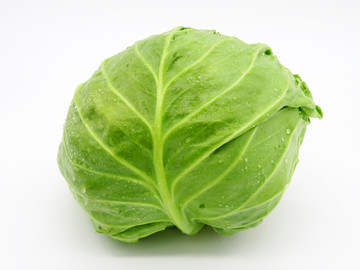 圓白菜