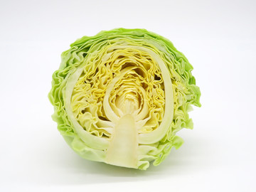 切開的圓白菜
