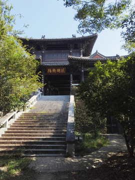 花明倚陌