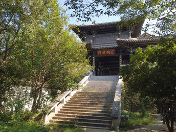 花明倚陌
