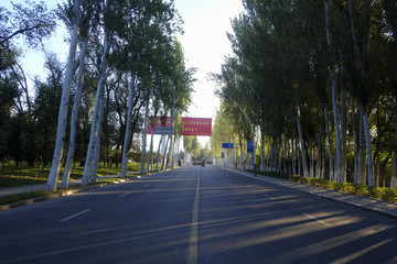 林蔭道