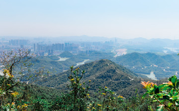 清晨