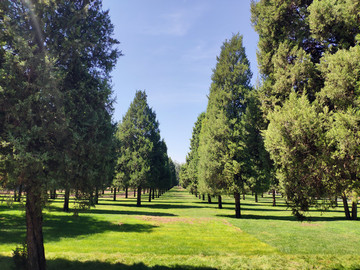 天壇公園