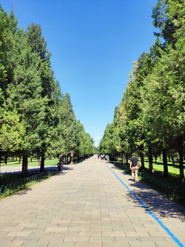 天壇公園