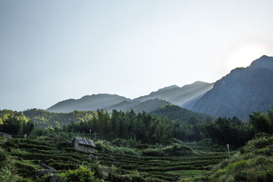 宜春南惹古村