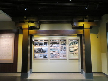 博物館展廳造型