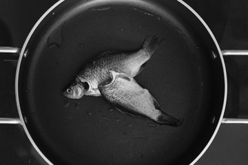 鯽魚