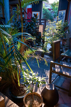 民居庭院