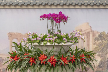 花卉造型
