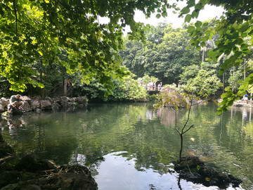 湖景