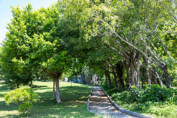 公園漫步道