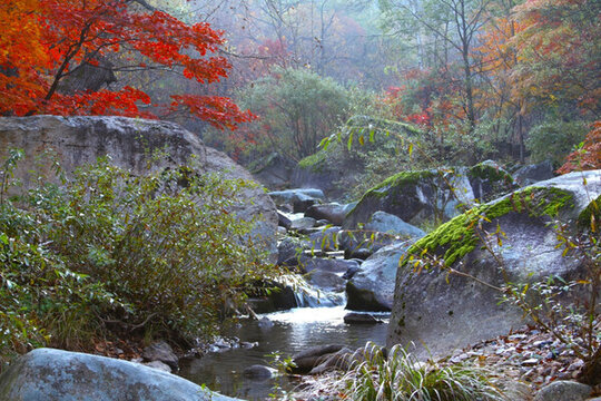 山泉