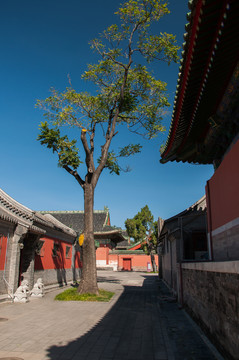 北京先農(nóng)壇