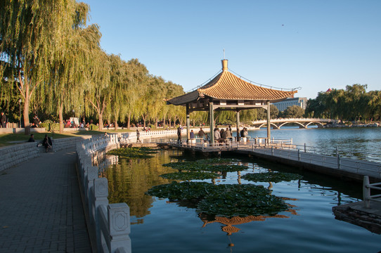 陶然亭公園