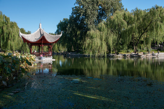 陶然亭公園