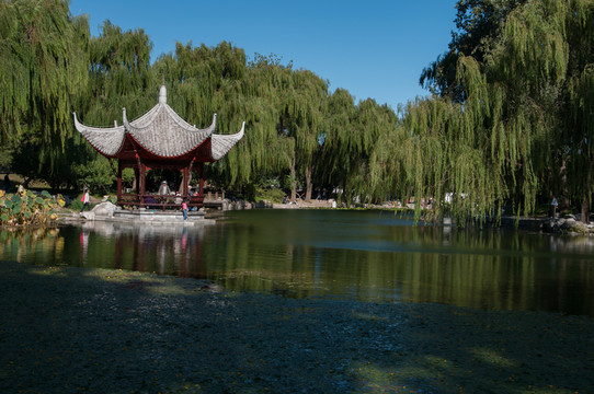 陶然亭公園
