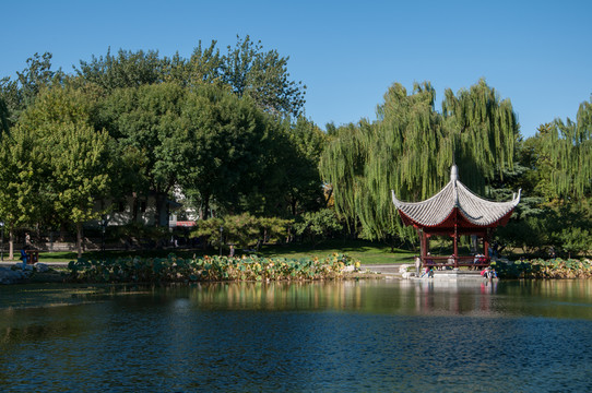 陶然亭公園
