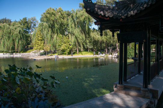 陶然亭公園