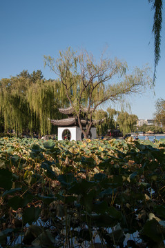 陶然亭公園