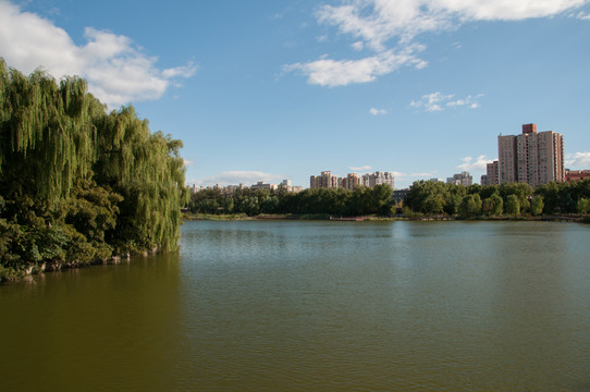 紅領(lǐng)巾公園