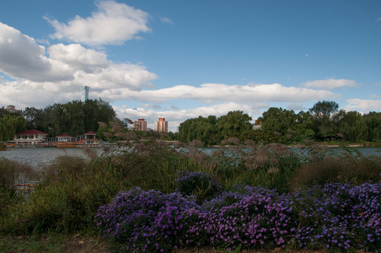紅領(lǐng)巾公園