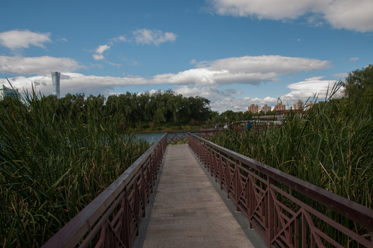 紅領(lǐng)巾公園