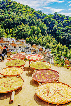 陽產(chǎn)土樓