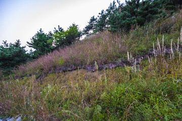 山坡