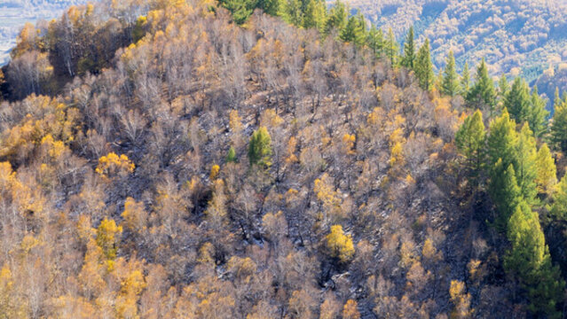 自然風景