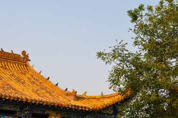 中國古建筑飛檐斗拱屋頂