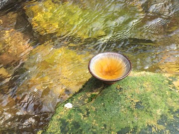 張家界金鞭溪上品茶