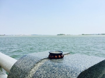 常德柳葉湖品茶