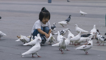 小女孩与广场鸽
