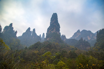 張家界武陵源十里畫(huà)廊