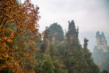 張家界武陵源天子山