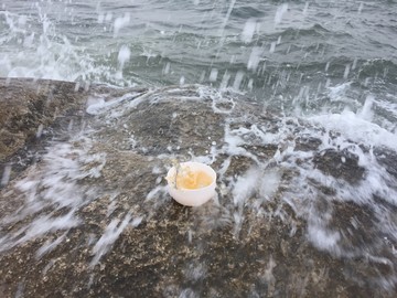 海邊茶修