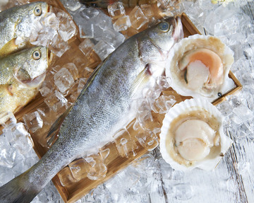魚