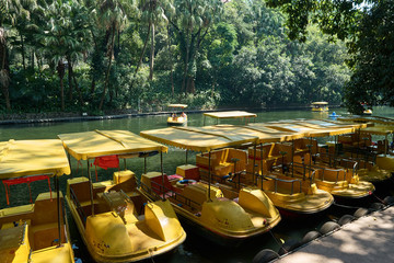 公園小船