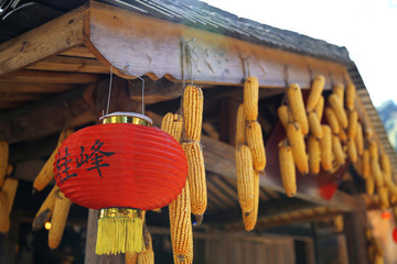 屋檐掛玉米