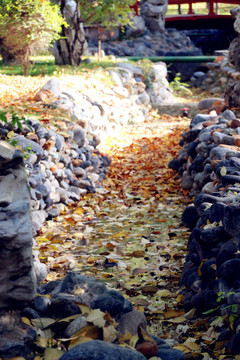 公園里的水渠