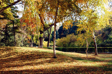 烏魯木齊人民公園深秋景色