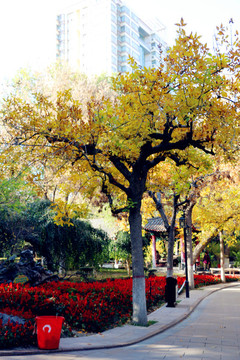 烏魯木齊人民公園風(fēng)景