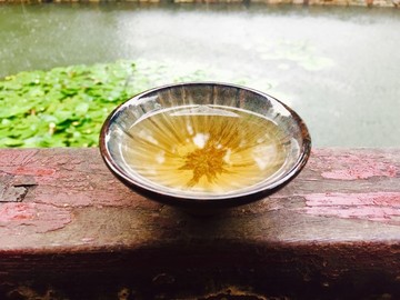 蘇州園林雨中品茶
